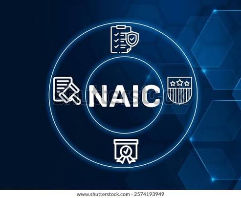 NAIC Standards